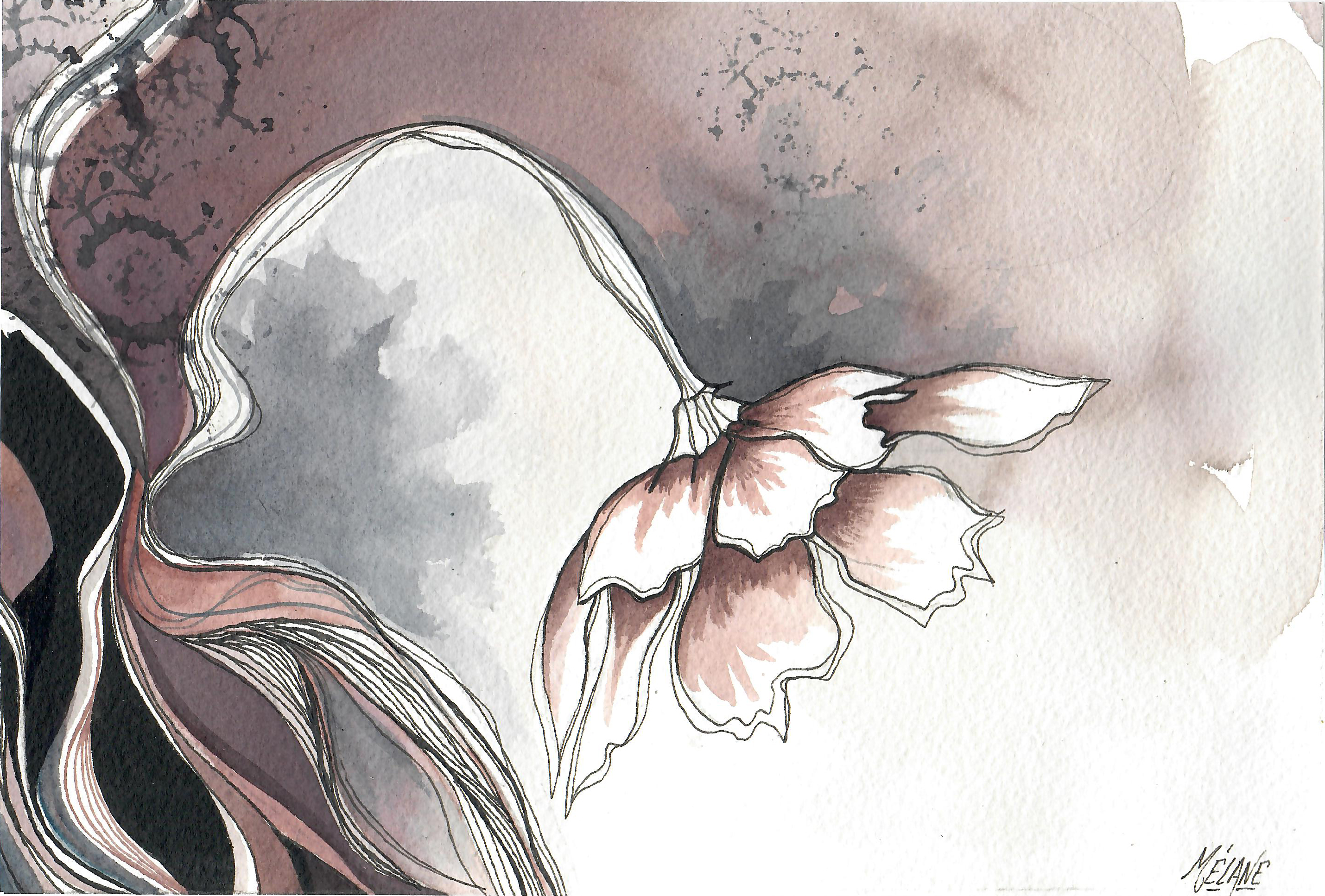 Carousel Bootstrap First